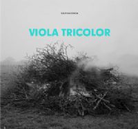 Exposition Viola Tricolor. Du 12 janvier au 24 février 2012 à Arles. Bouches-du-Rhone. 